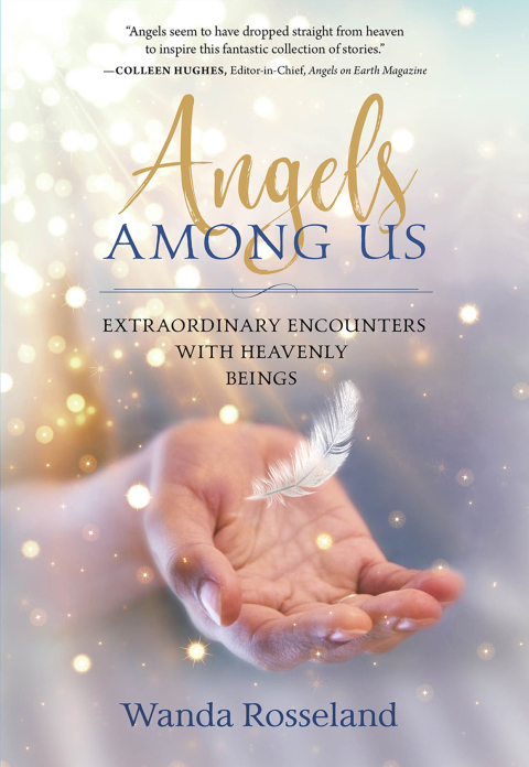 Cover image for book Angels Among Us