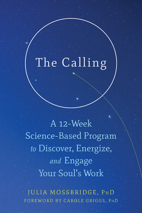 Cover image for book The Calling