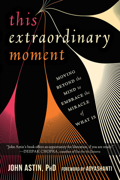Cover image for book This Extraordinary Moment