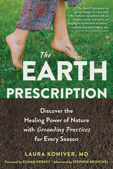 Cover image for book The Earth Prescription