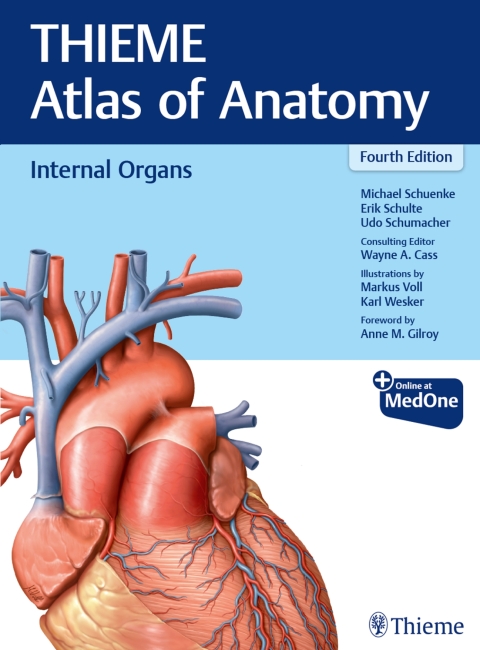 Internal Organs (THIEME Atlas of Anatomy) 