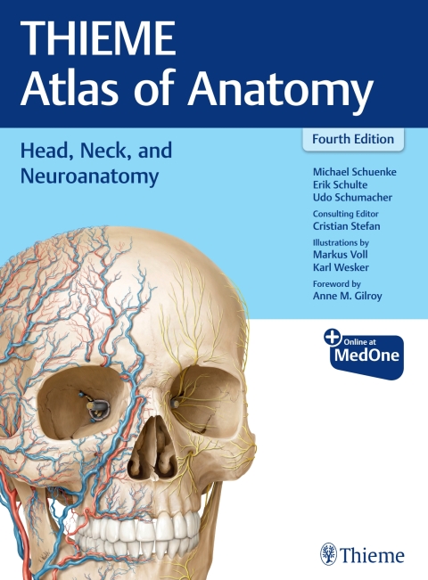 Head, Neck, and Neuroanatomy (THIEME Atlas of Anatomy) 