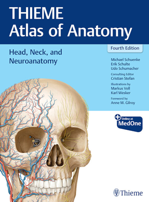Head, Neck, and Neuroanatomy (THIEME Atlas of Anatomy) 