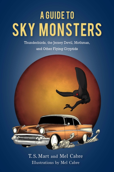 Cover image for book A Guide to Sky Monsters