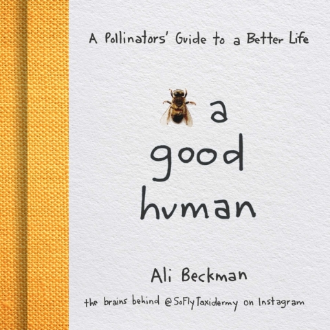 Cover image for book Bee a Good Human