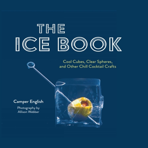 Cover image for book The Ice Book