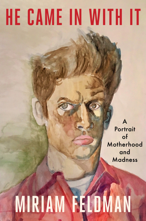 Cover image for book He Came in With It