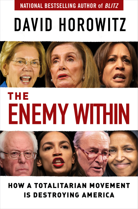 Cover image for book The Enemy Within