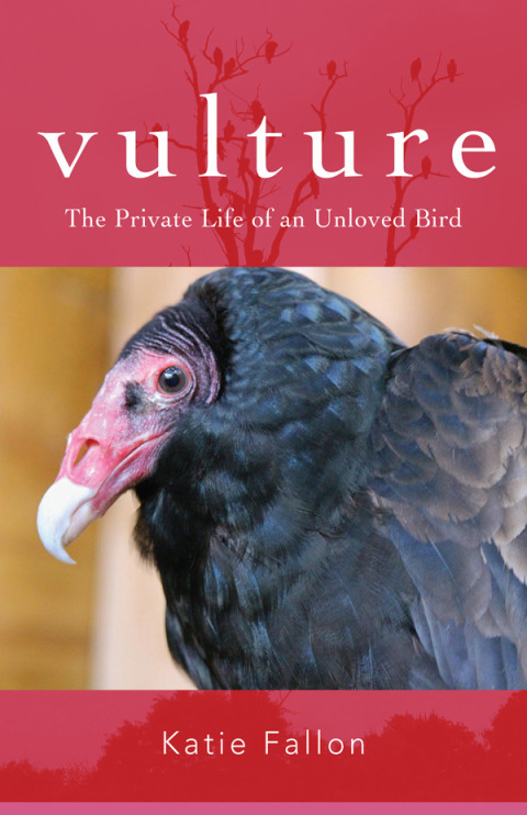 Cover image for book Vulture