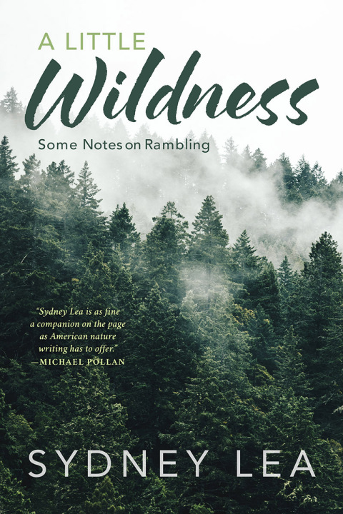 A Little Wildness 