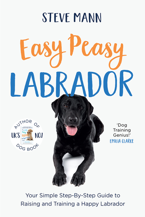 Cover image for book Easy Peasy Labrador