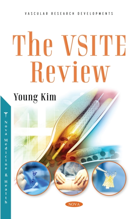 Cover image for book The VSITE Review