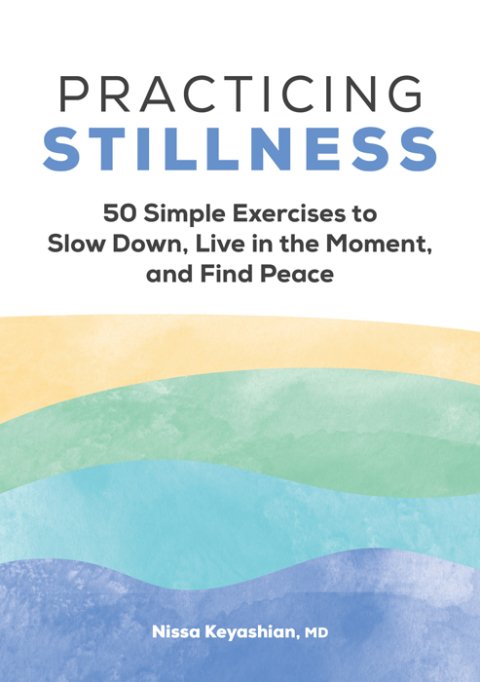 Cover image for book Practicing Stillness