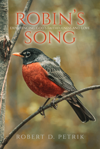 Robin's Song
