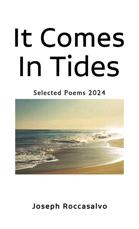 Cover image for book It Comes In Tides
