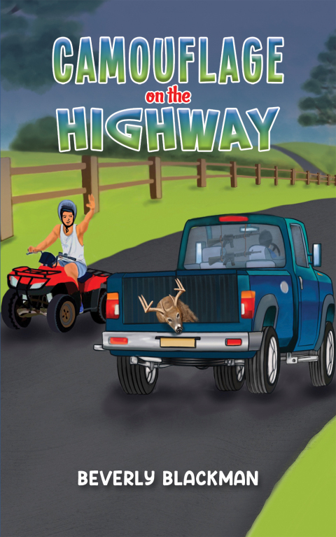 Cover image for book Camouflage on the Highway