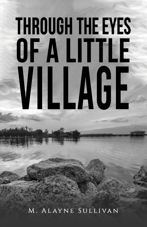 Cover image for book Through the Eyes of a Little Village