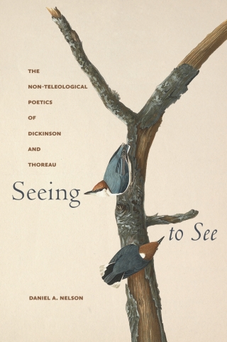 Seeing to See