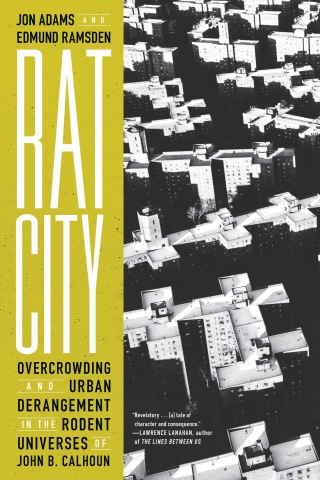 Rat City