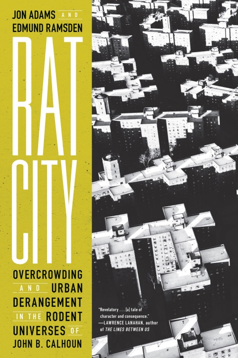Cover image for book Rat City