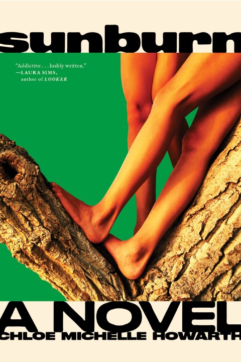 Cover image for book Sunburn