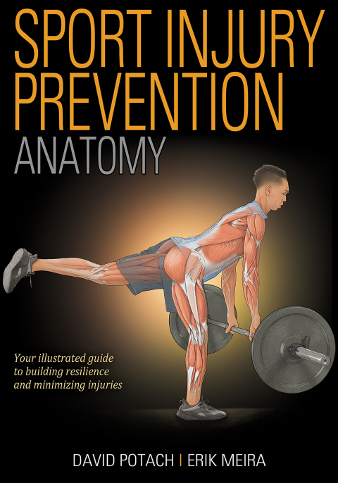 Sport Injury Prevention Anatomy 