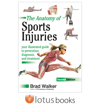 The Anatomy of Sports Injuries