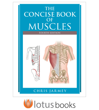 The Concise Book of Muscles