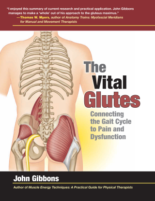 The Vital Glutes