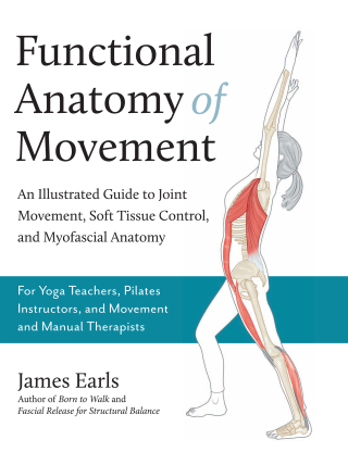 Functional Anatomy of Movement