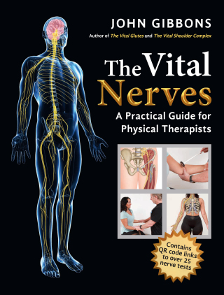 The Vital Nerves