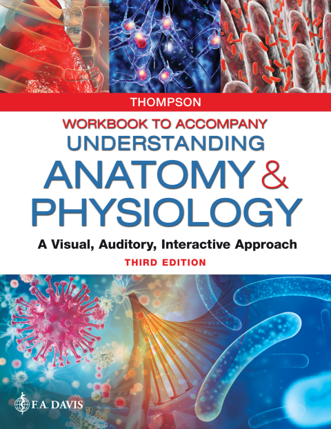 Cover image for book Workbook to Accompany Understanding Anatomy & Physiology