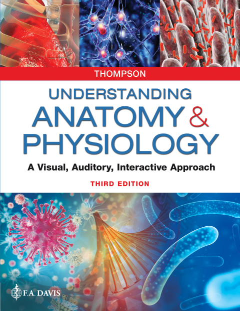 Cover image for book Understanding Anatomy & Physiology