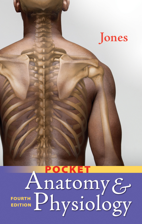 Cover image for book Pocket Anatomy & Physiology