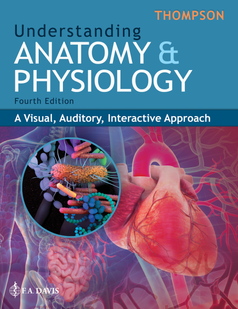 Cover image for book Understanding Anatomy & Physiology