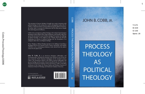 Cover image for book Process Theology as Political Theology