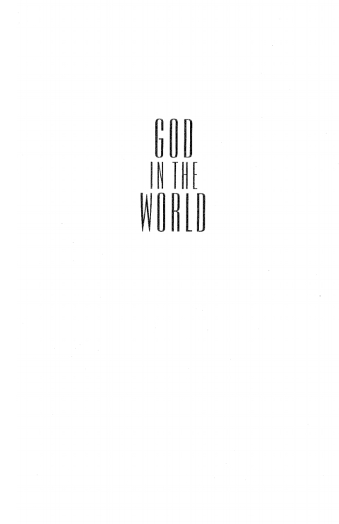 Cover image for book God in the World