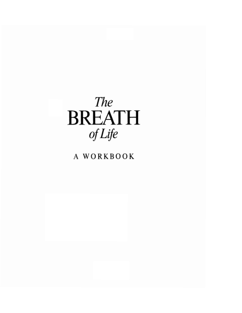 Cover image for book The Breath of Life: Workbook