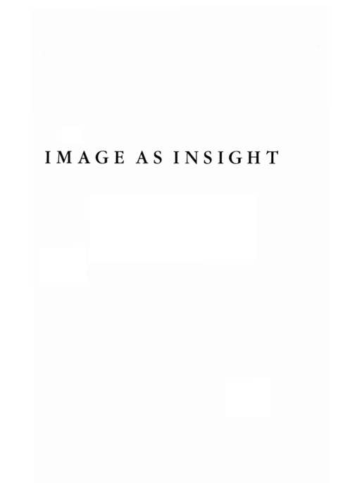Cover image for book Image as Insight