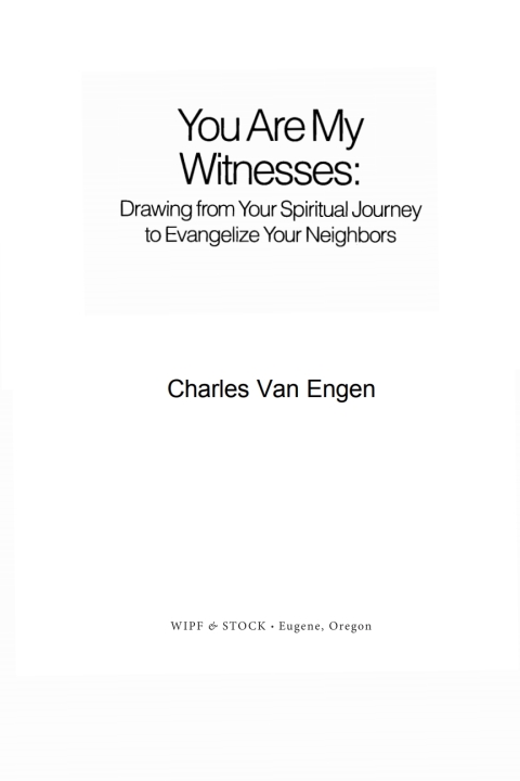 Cover image for book You Are My Witnesses