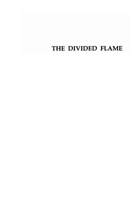 Cover image for book The Divided Flame