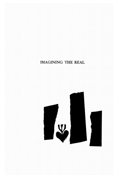 Cover image for book Imagining the Real