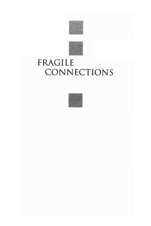 Cover image for book Fragile Connections