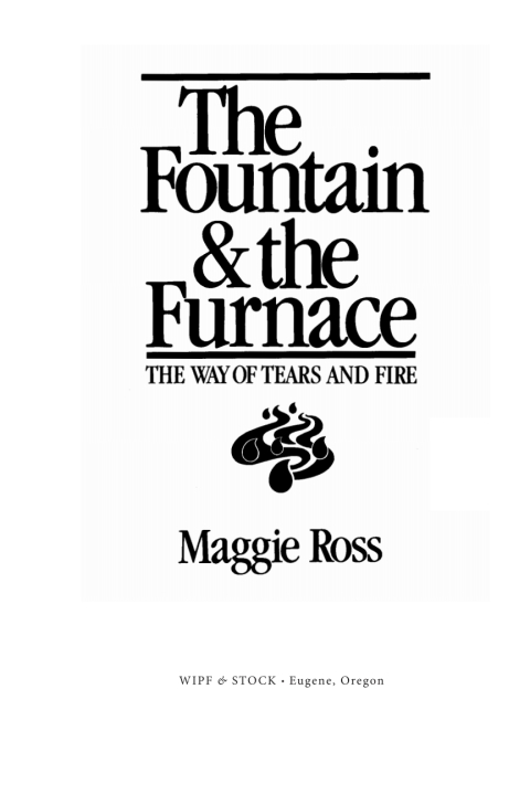 Cover image for book The Fountain and the Furnace