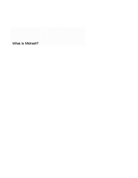 Cover image for book What Is Midrash?