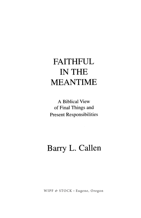Cover image for book Faithful in the Meantime