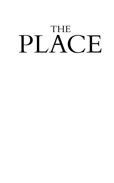 Cover image for book The Place
