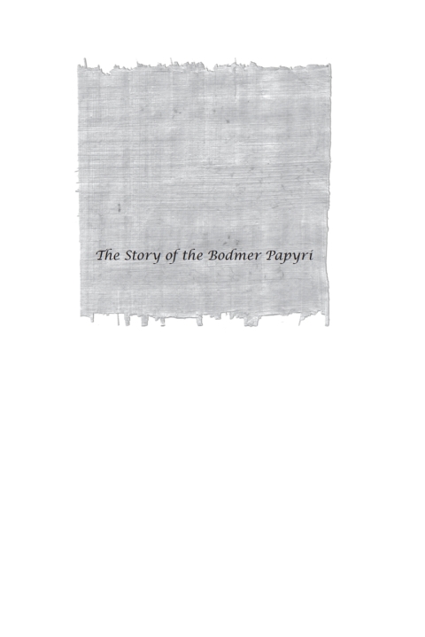 Cover image for book The Story of the Bodmer Papyri