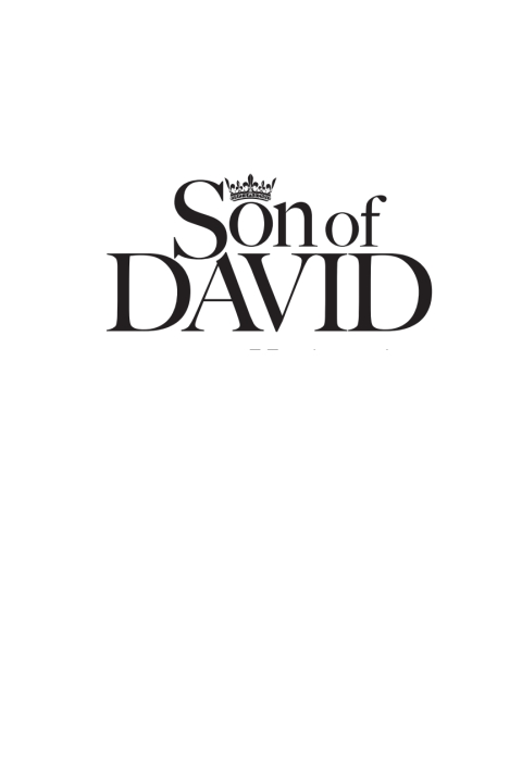 Cover image for book Son of David