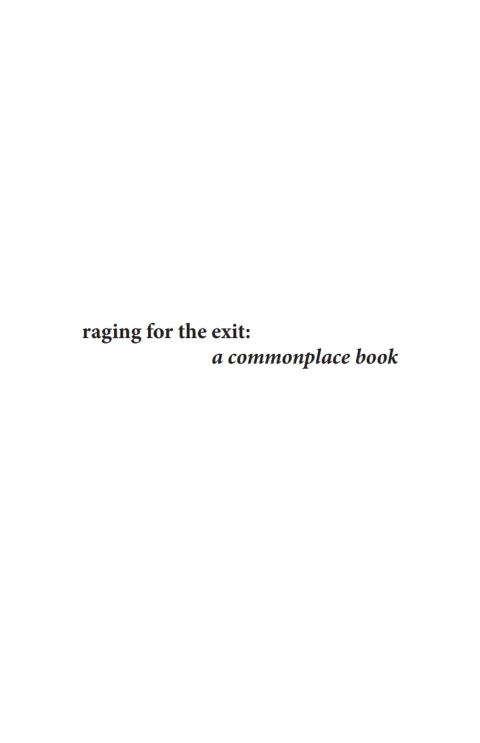 Cover image for book Raging for the Exit